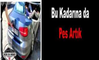 Agri Haber Agri Haberleri Sondakika Agri Haber
