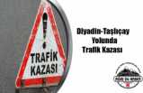 Ağrı'da Ölümlü Trafik Kazası