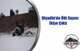 Diyadin Kazasında Ölü Sayısı İkiye Çıktı
