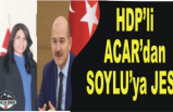 HDPli Acar'dan Bayrak Jesti