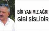 BİR YANIMIZ AĞRI GİBİ SİSLİDİR