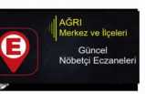 Ağrı da Nöbetçi Eczane ( 29 Haziran 2020 )