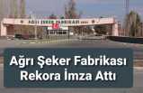 Ağrı Şeker Fabrikasından Rekor