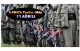 1'i Ağrılı 5 PKK'lı Teslim Oldu