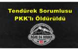 Biri Tendürek Sorumlusu 3 PKK'lı Öldürüldü