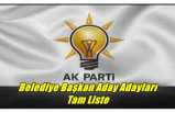 AK Parti Ağrı Belediye Başkan Aday Adayları Tam Liste