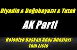 AK Parti Diyadin,Doğubayazıt ve Tutak Aday Adayları Tam Liste