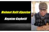 Mehmet Halit Alpaslan Hayatını Kaybetti