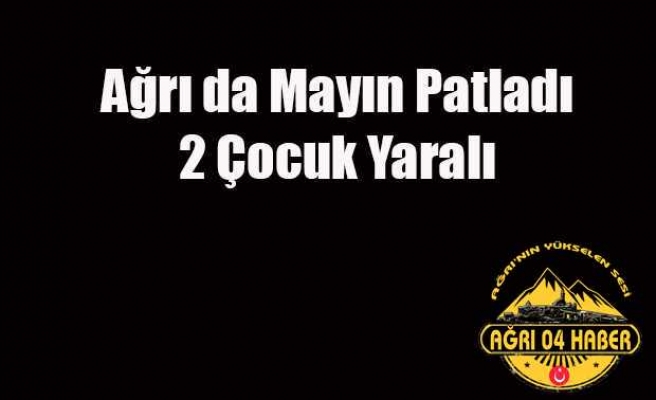 Ağrı da   Patlamada 2 Çocuk Yaralandı