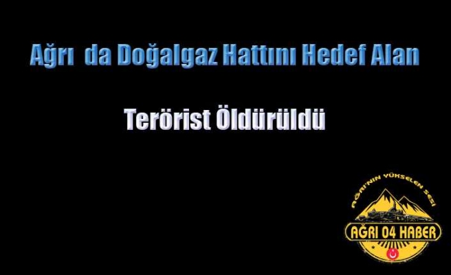 Ağrı da 1 Pkk'lı Öldürüldü