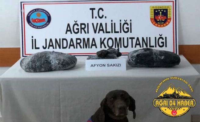 Doğubayazıt'ta Afyon Sakızı Ele Geçirildi