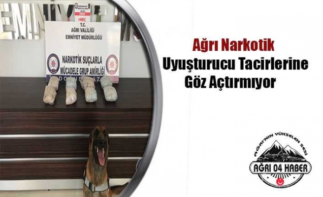 Ağrı Emniyeti'nin Operasyonları Hız Kesmiyor