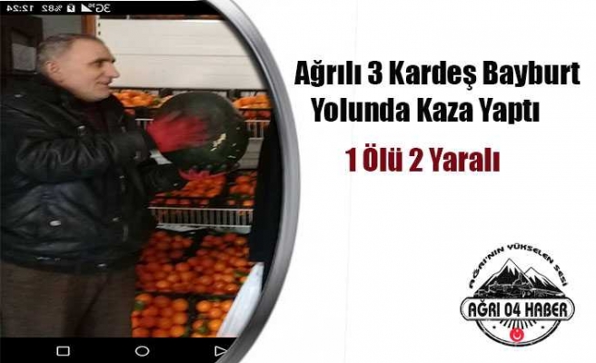 Ağrılılar Kaza Yaptı 1 Ölü 2 Yaralı