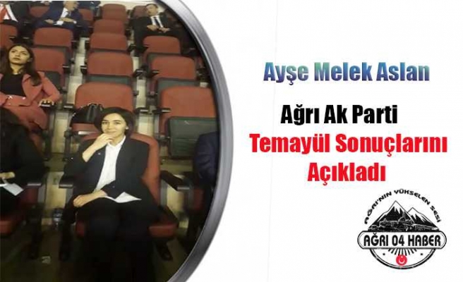 Aslan Ak Parti Temayül Yoklamalarını Açıkladı