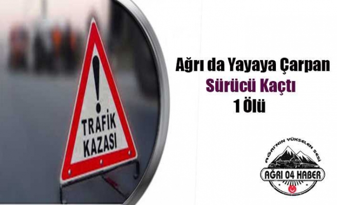 Ağrı da Trafik Kazası 1 Ölü