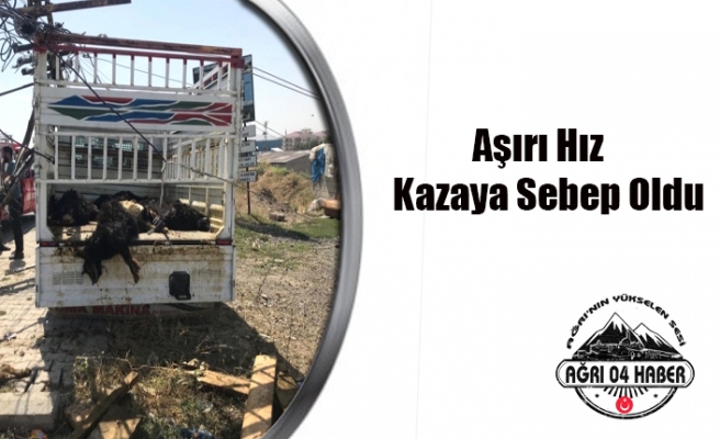 Aşırı Sürat Kazaya Sebep Oldu