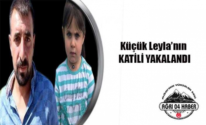 Leyla Aydemir'in Katili Tutuklandı