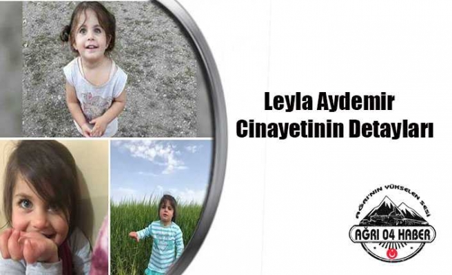 Leyla Cinayetinin Detayları