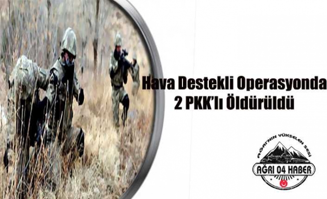 Ağrı da 2 PKK'lı Öldürüldü