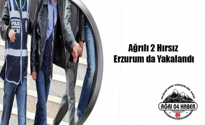 Ağrılı Hırsızlara Erzurum da Suç Üstü