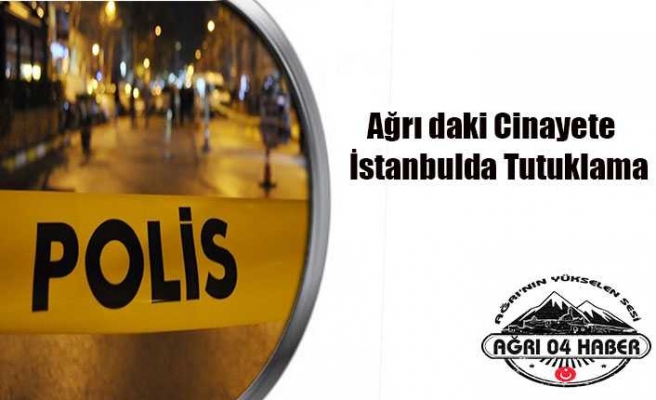 Ağrı Emniyeti İstanbul'da Operasyon Yaptı