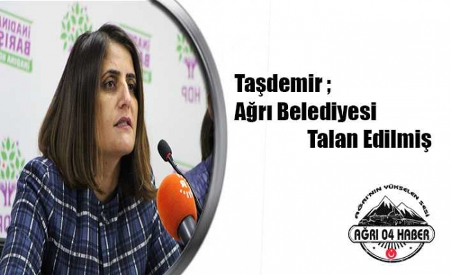 Taşdemir'den Belgelerle Kayyum İsyanı