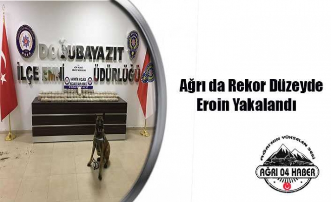 Ağrı Narkotik Göz Açtırmıyor