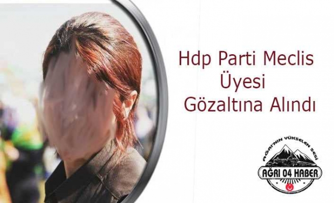 Hdp Parti Meclis Üyesi Gözaltına Alındı