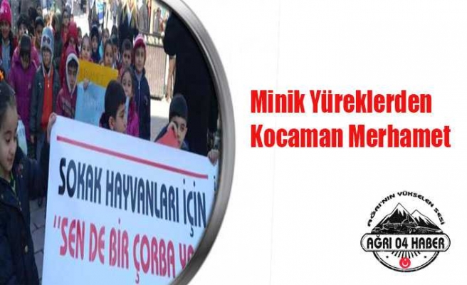 Minik Yüreklerden Kocaman Merhamet