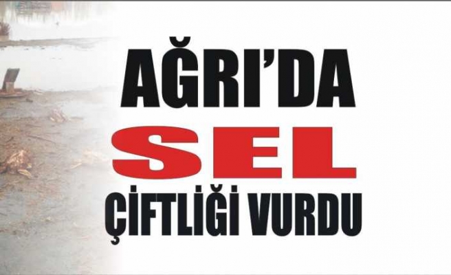 Ağrı da Sel Çiftliği Vurdu