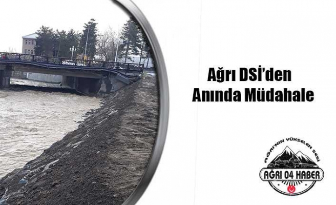 Ağrı DSİ Anında Müdahale Etti