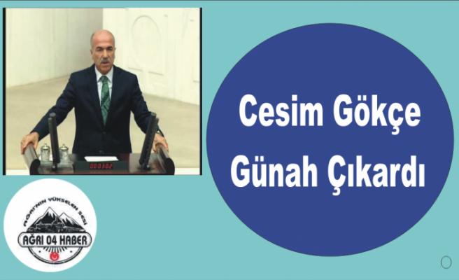 Cesim Gökçe'den Sisteme Sitem