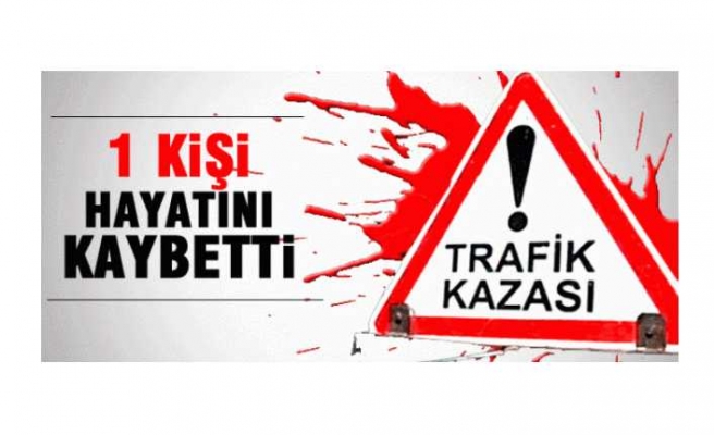 Ağrı da Trafik Kazası  1 Ölü