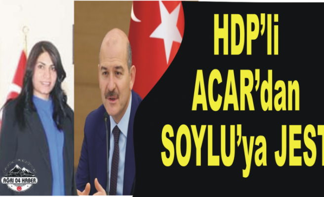 HDPli Acar'dan Bayrak Jesti