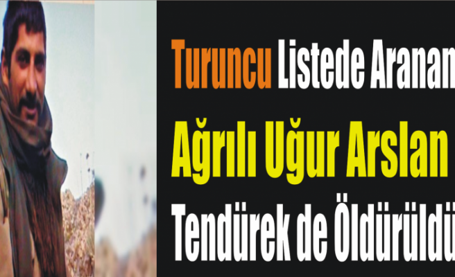 Turuncu Listede Aranan Ağrılı Öldürüldü