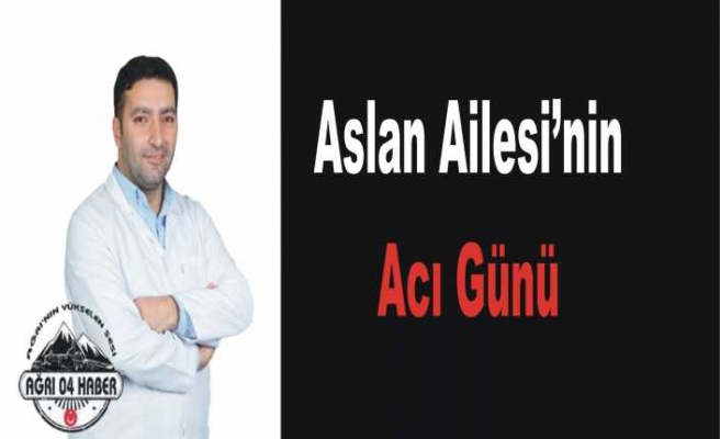 Aslan Ailesi'nin Acı Günü