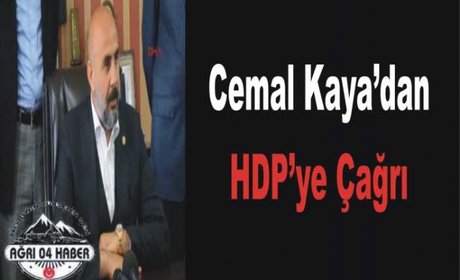 Cemal Kaya'dan HDP ye Acil Çağrı