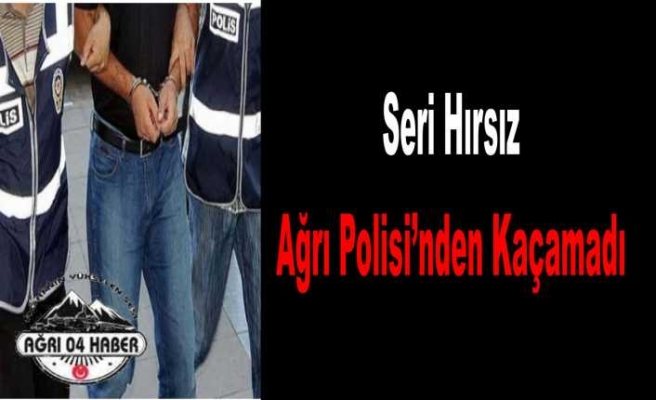 Ağrı da Seri Hırsızlık Yapan Şahıs Yakalandı