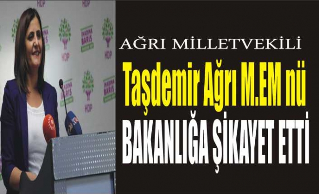 Taşdemir sorunu Meclis'e Taşıdı