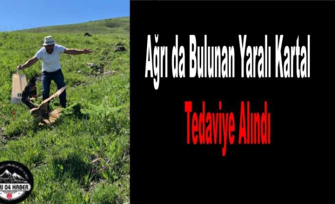Ağrı da Bulunan Yaralı Kartal Emin Ellerde