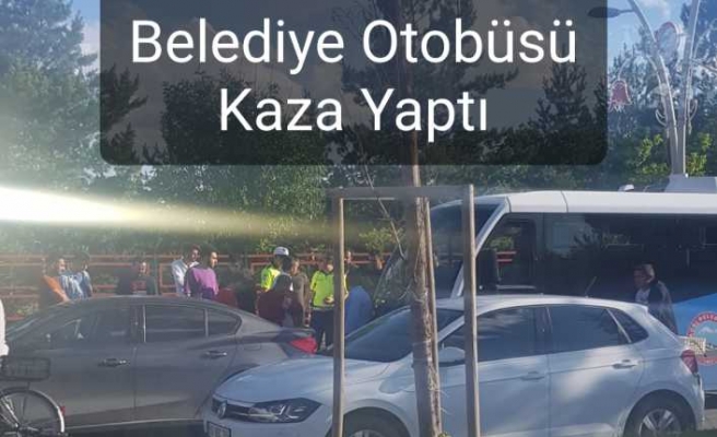 Ağrı da Dolmuş Kazası