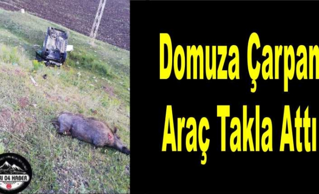 Ağrı da Domuza Çarpan Araç Takla Attı