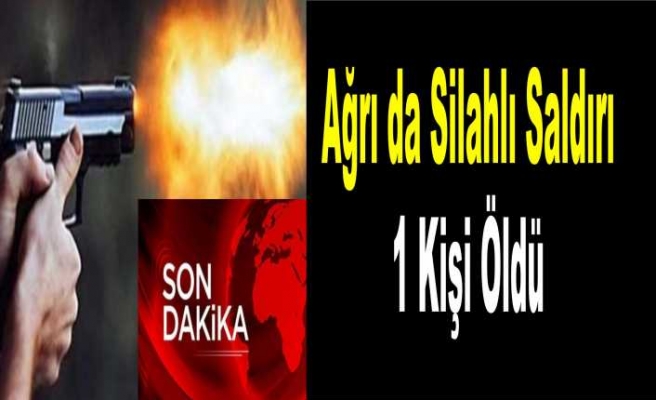 Ağrı da Silahlı Saldırı