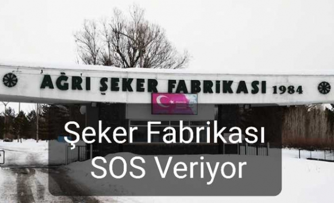 Ağrı Şeker SOS Veriyor