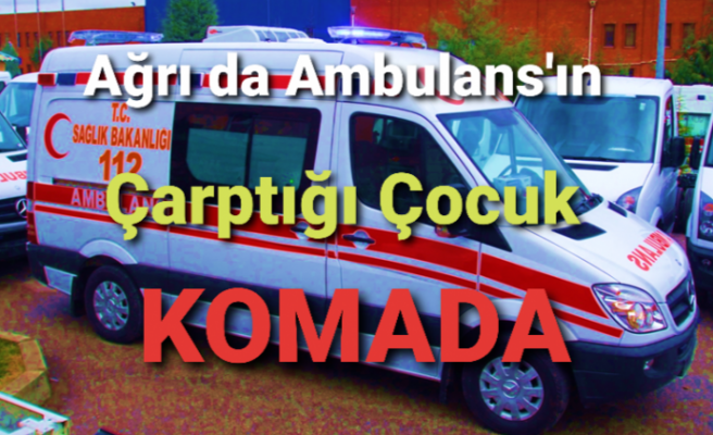 Ağrı da Ambulans Kaza Yaptı