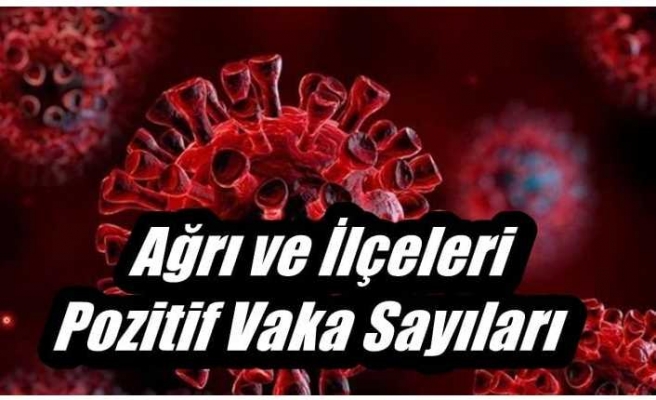 Ağrı ve İlçeleri Corona Virüs Vaka Sayıları