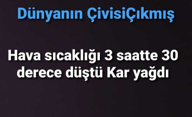 ABD de "Dünyanın Çivisi Çıkmış " Dedirten Olay