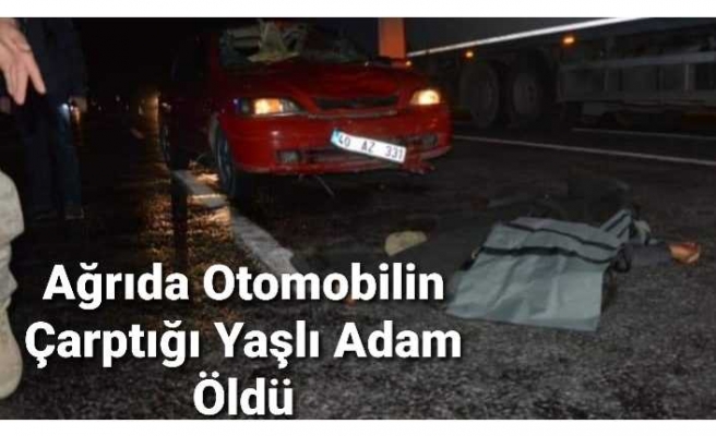 Ağrı da Otomobilin Çarptığı Yaşlı Adam Öldü