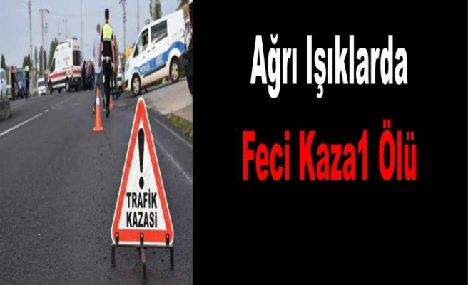 Ağrı da Trafik Kazası 1 Kişi Öldü