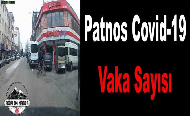 Patnos'ta Covid-19 Vaka Sayıları
